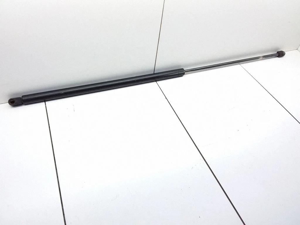 Tailgate/trunk strut/damper