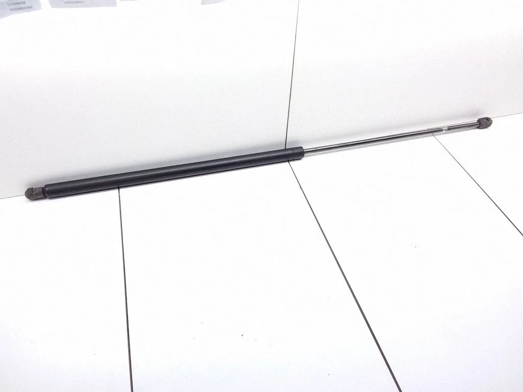 Tailgate/trunk strut/damper