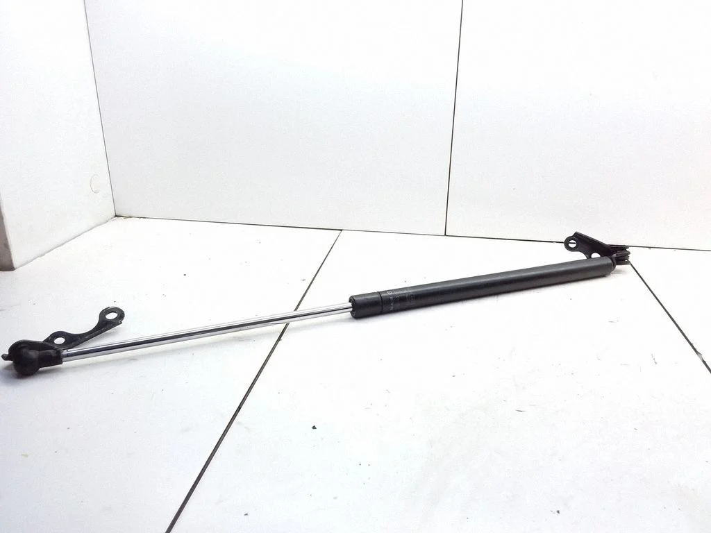 Tailgate/trunk strut/damper