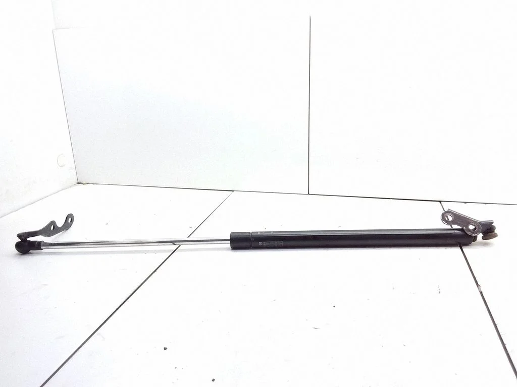 Tailgate/trunk strut/damper