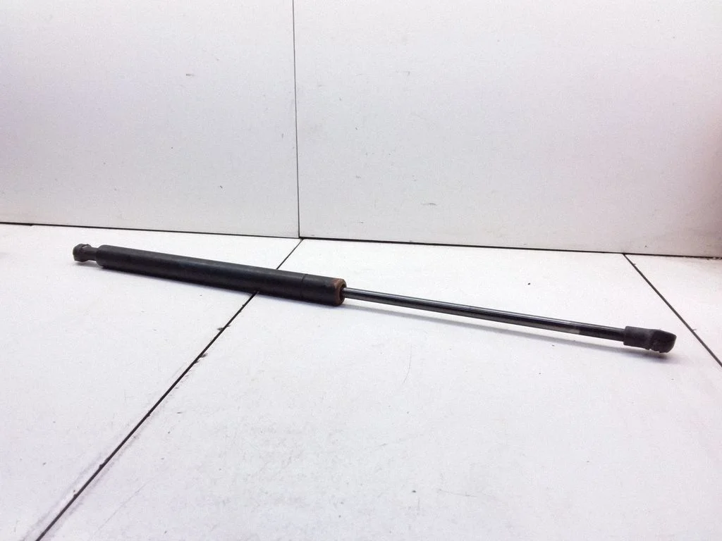 Tailgate/trunk strut/damper 6895005072