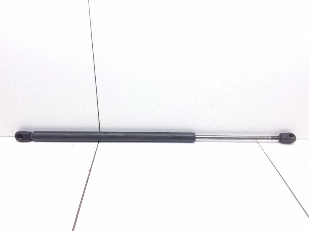 Tailgate/trunk strut/damper