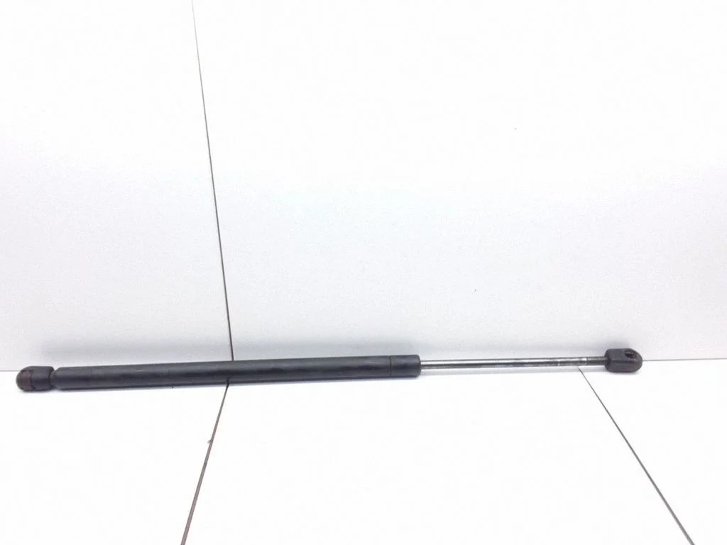 Tailgate/trunk strut/damper