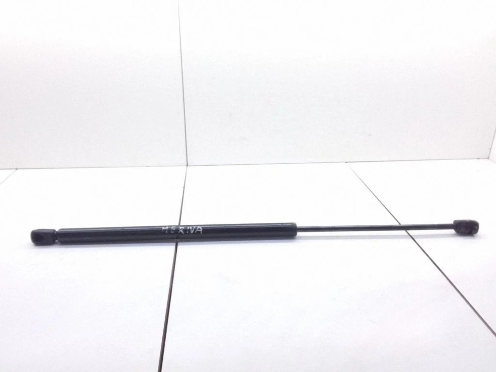 Tailgate/trunk strut/damper 06913539520N