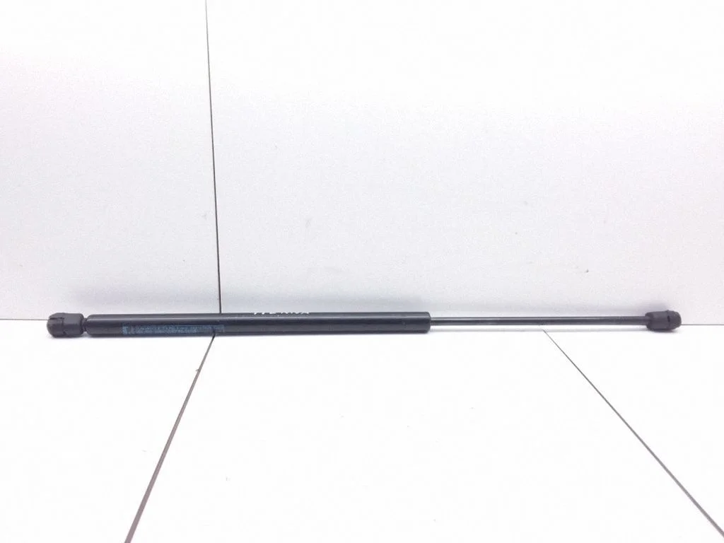 Tailgate/trunk strut/damper 06913539520N