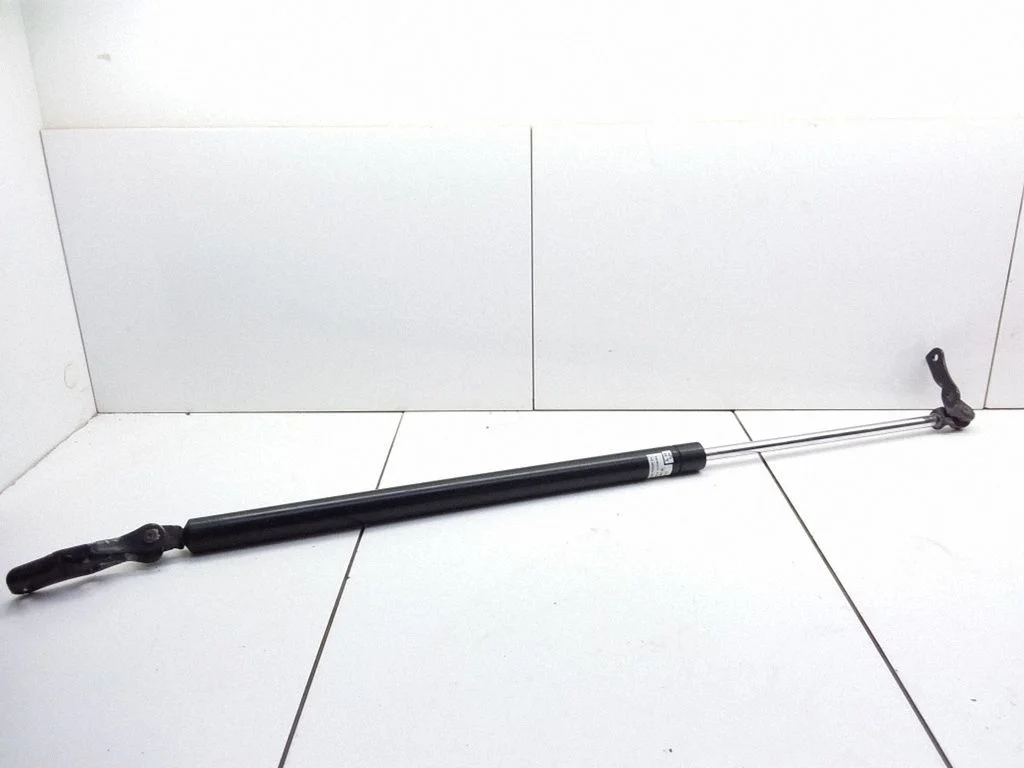 Tailgate/trunk strut/damper