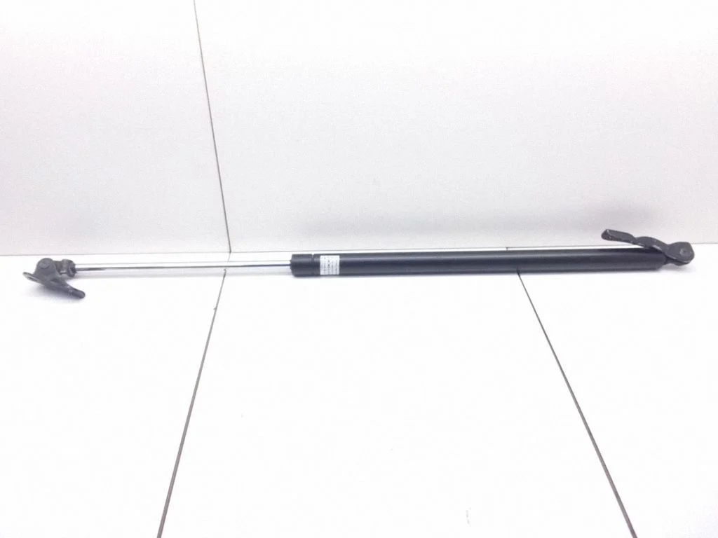 Tailgate/trunk strut/damper 3D02W029
