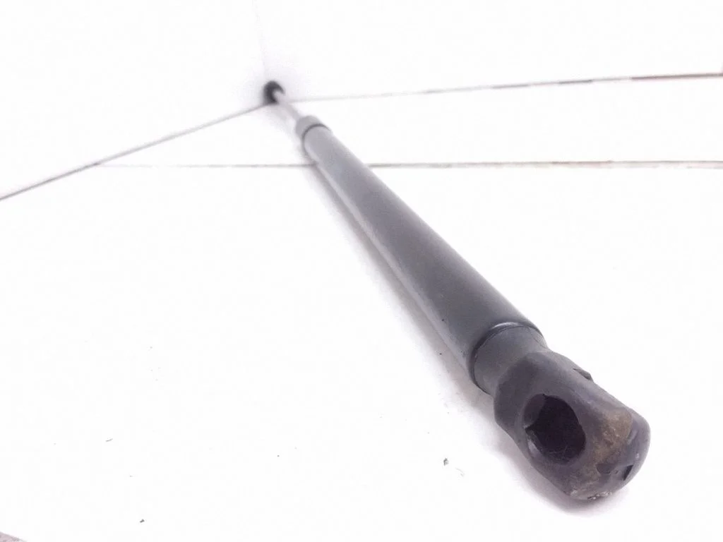 Tailgate/trunk strut/damper