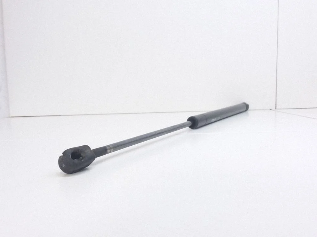 Tailgate/trunk strut/damper K4A1689300164