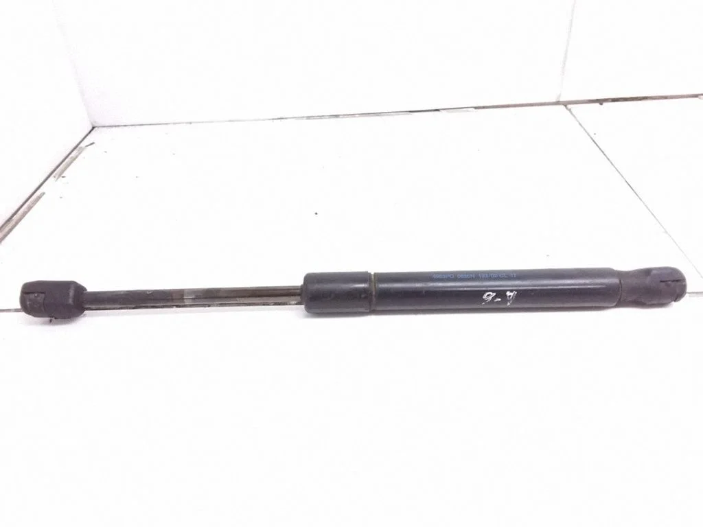 Tailgate/trunk strut/damper