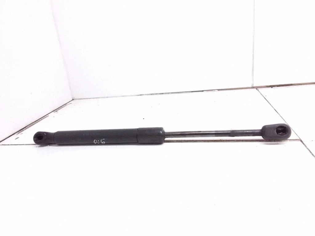 Tailgate/trunk strut/damper