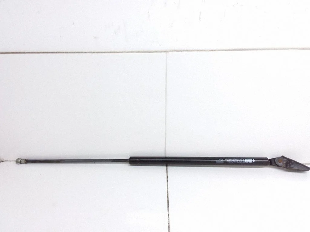 Tailgate/trunk strut/damper GS602032353