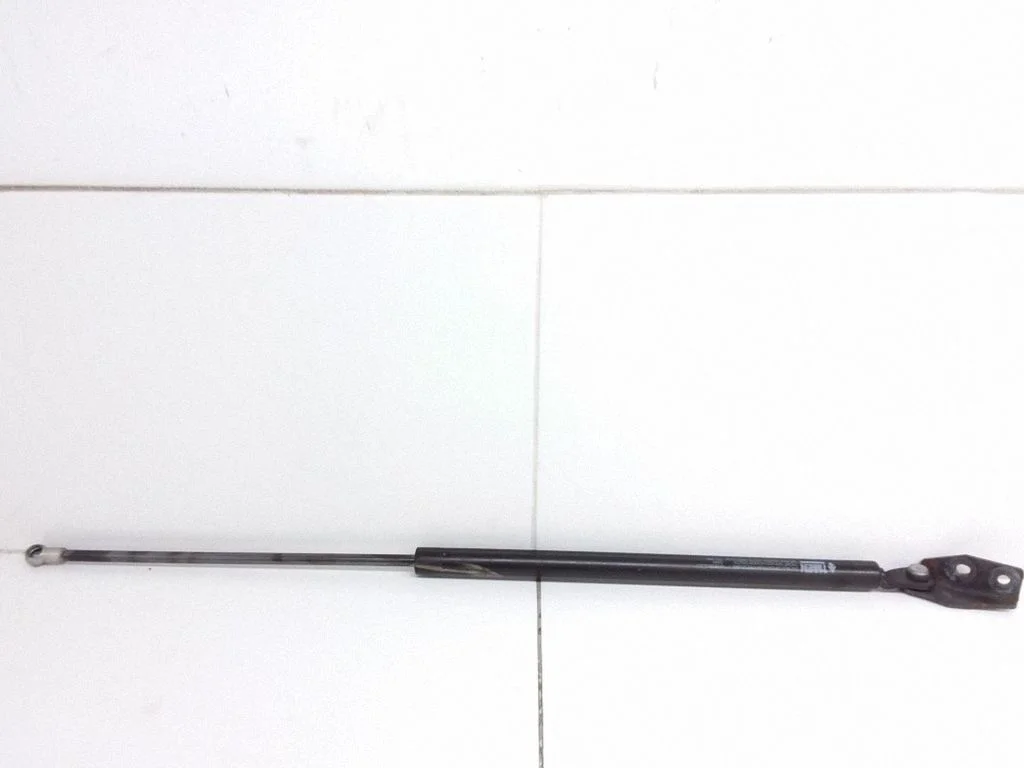Tailgate/trunk strut/damper