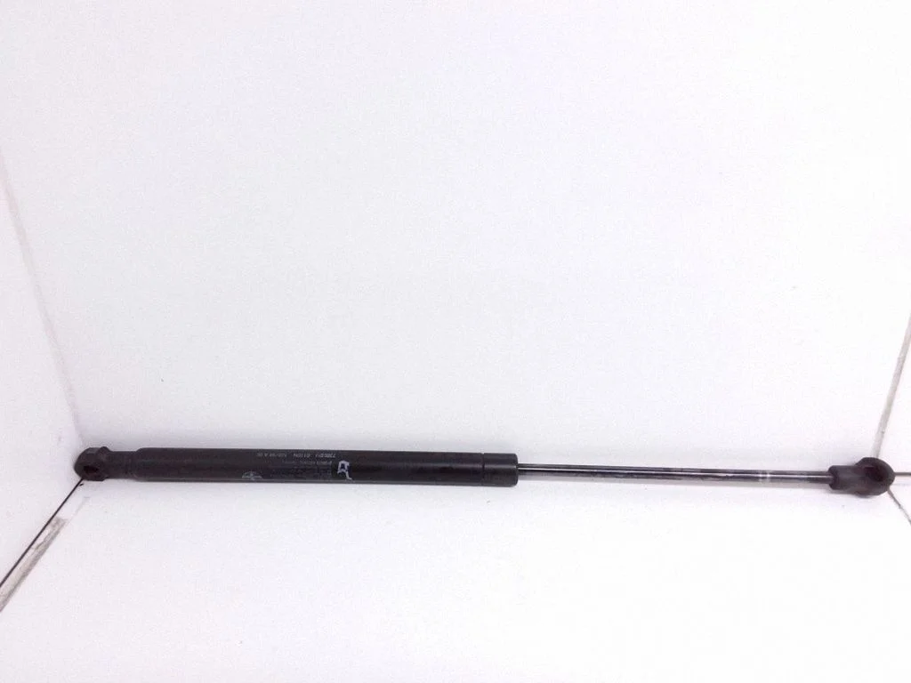 Tailgate/trunk strut/damper 46730250
