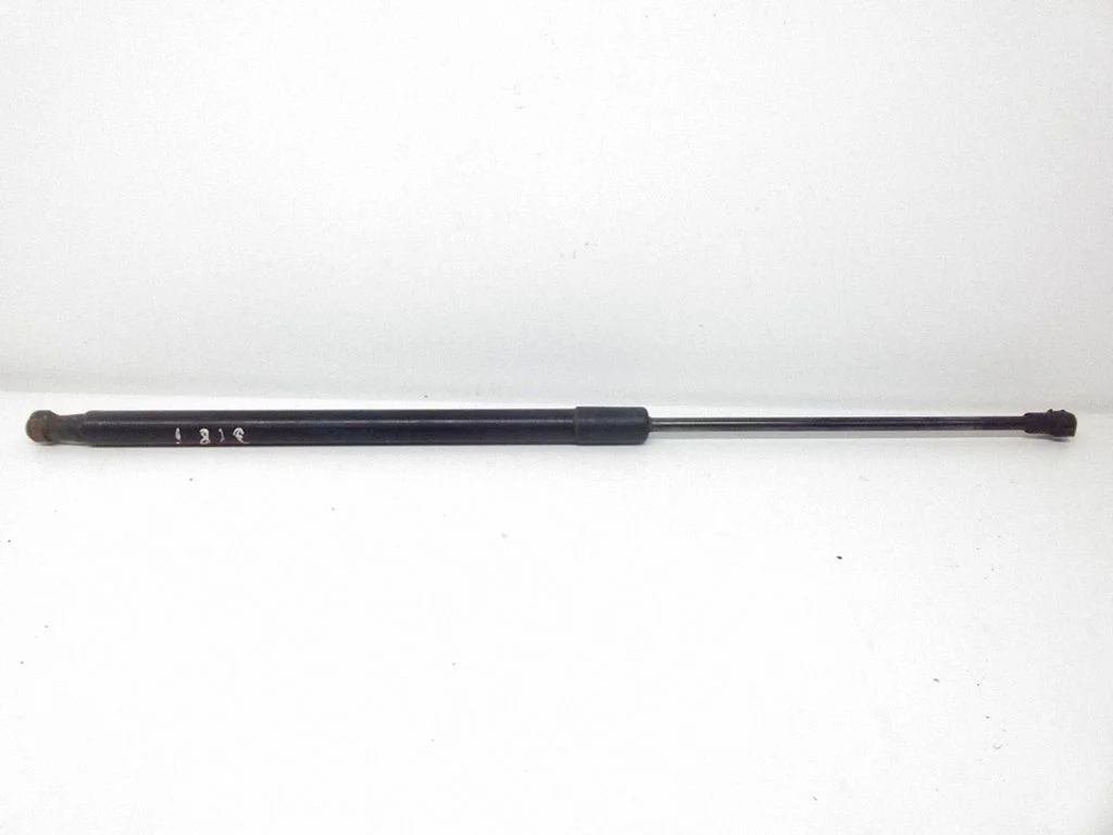Tailgate/trunk strut/damper 8232873