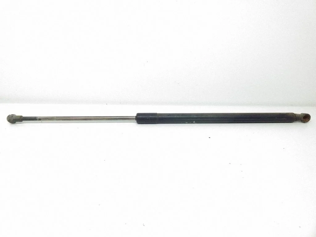 Tailgate/trunk strut/damper 8232873