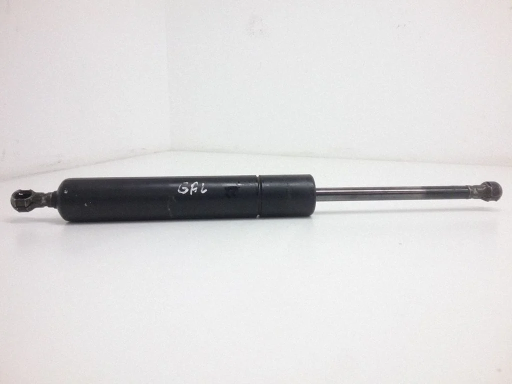 Tagaluugi gaasiamortisaator A0019808064
