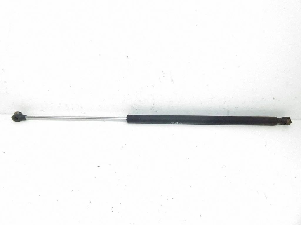 Tailgate/trunk strut/damper 1492653080