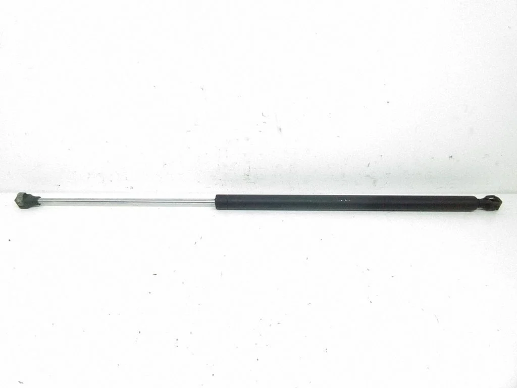 Tailgate/trunk strut/damper 1492653080