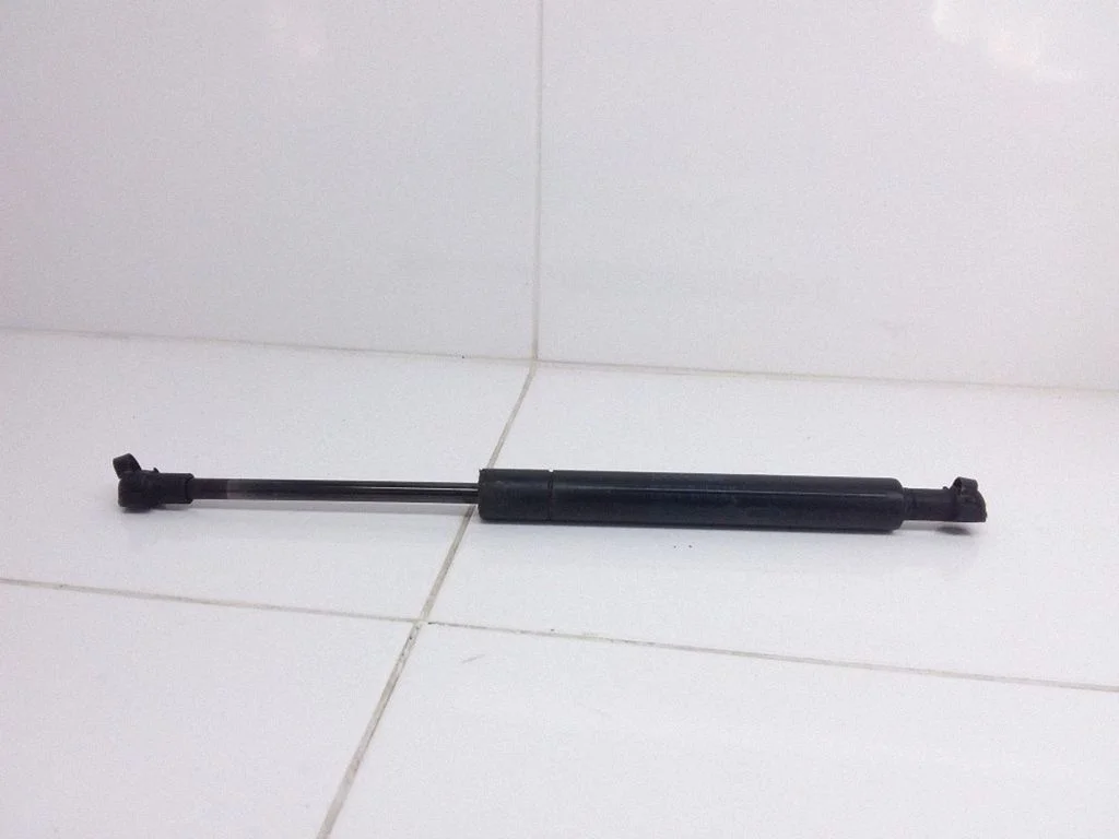 Tailgate/trunk strut/damper 1X43F406A10AB