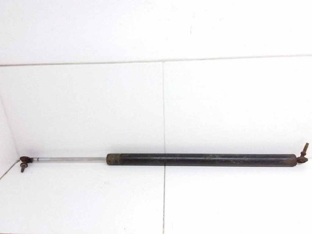 Tailgate/trunk strut/damper