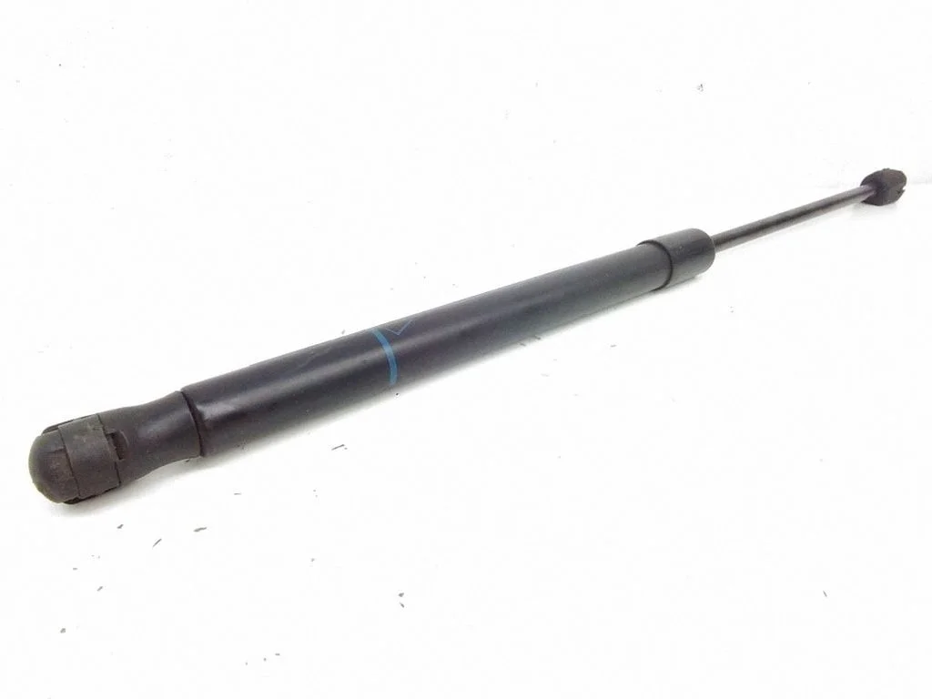 Tagaluugi gaasiamortisaator 244638295133