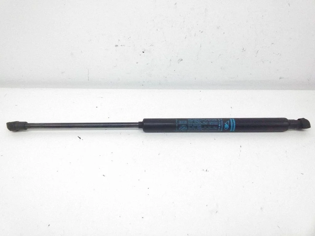 Tailgate/trunk strut/damper
