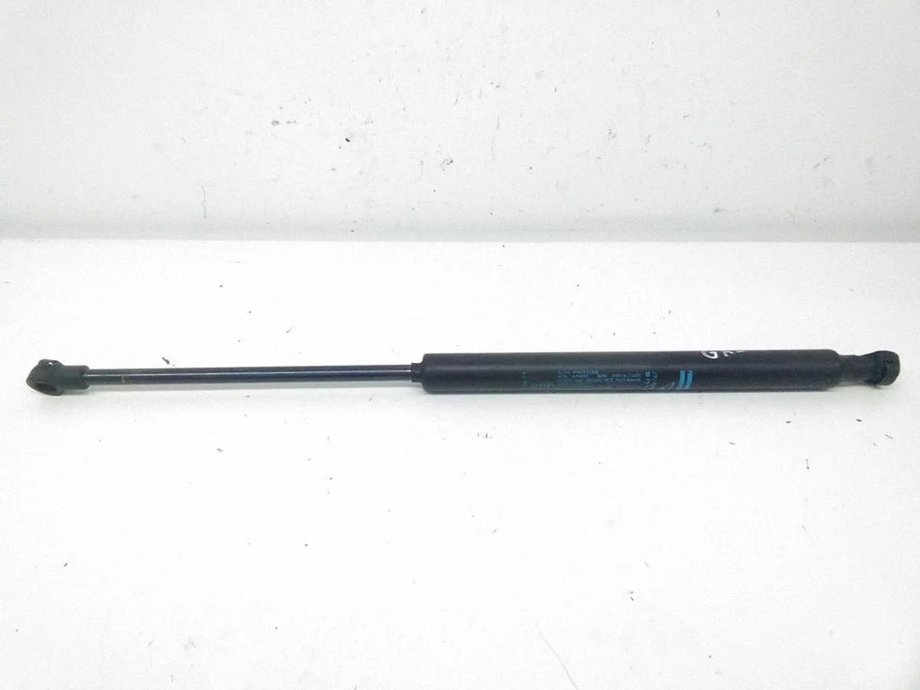 Tailgate/trunk strut/damper