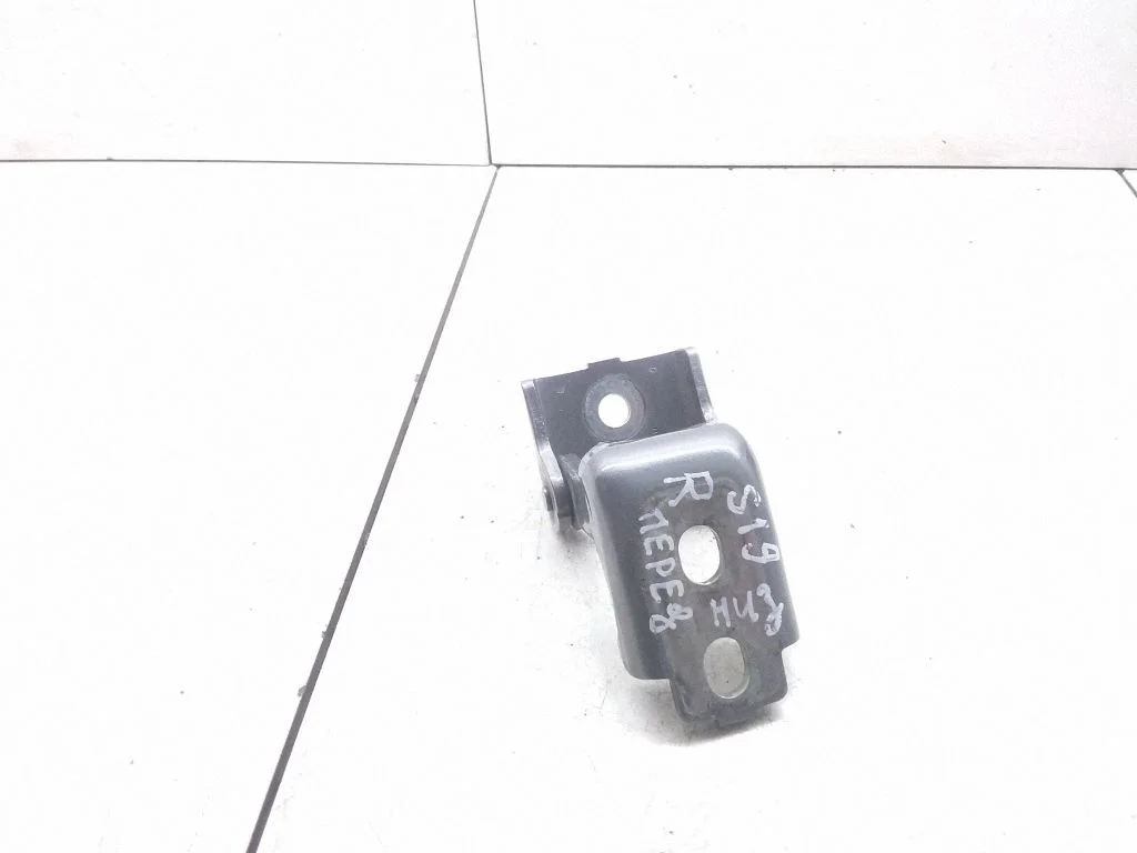 Front door lower hinge 804200003RM