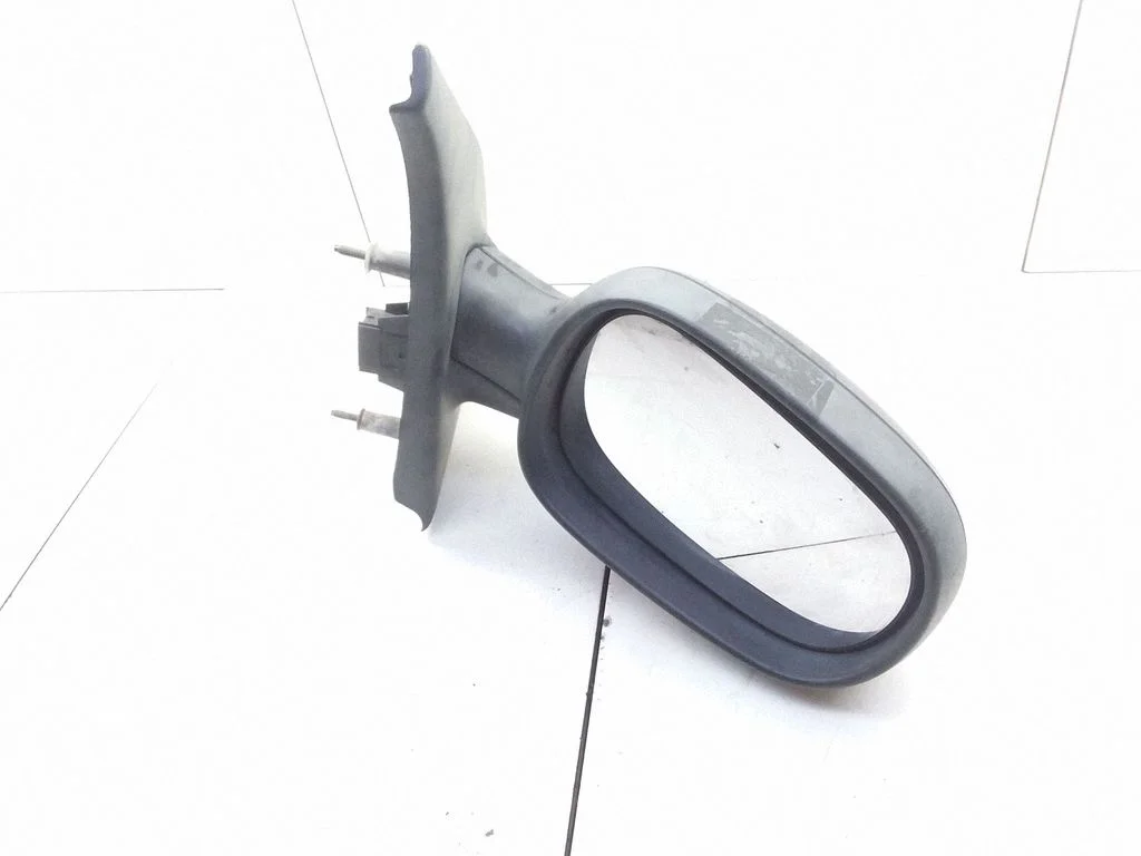 Front door electric wing mirror E1010461