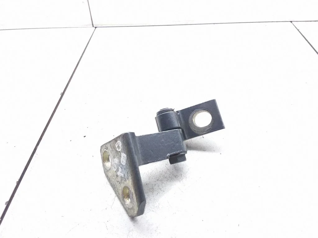 Rear door lower hinge