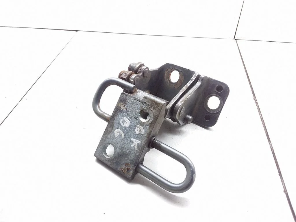 Rear door lower hinge