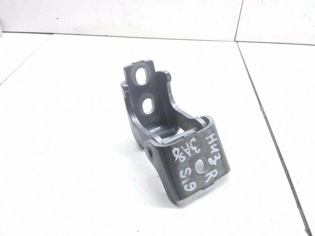 Tagaukse alumine hing 804200003R