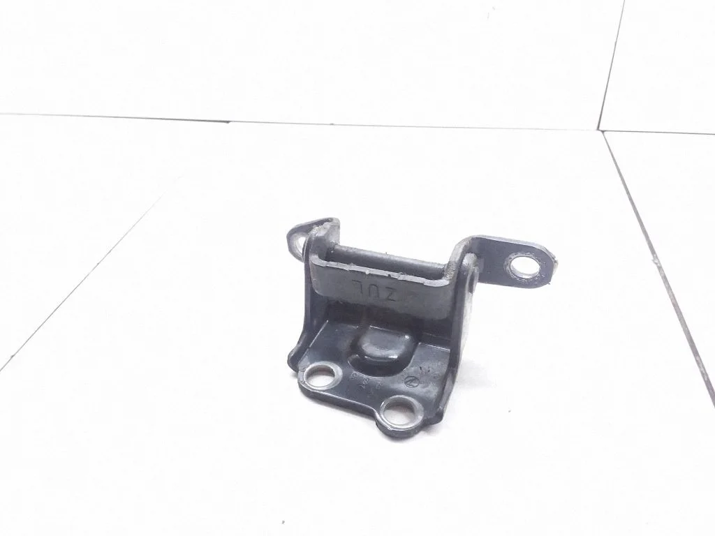 Rear door lower hinge – rear left