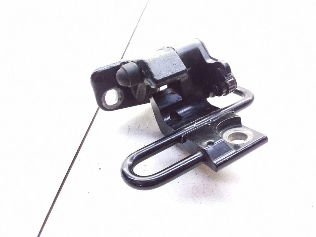 Rear door lower hinge – rear left