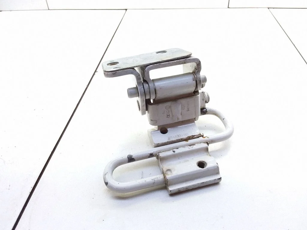 Rear door lower hinge 3B4833411B