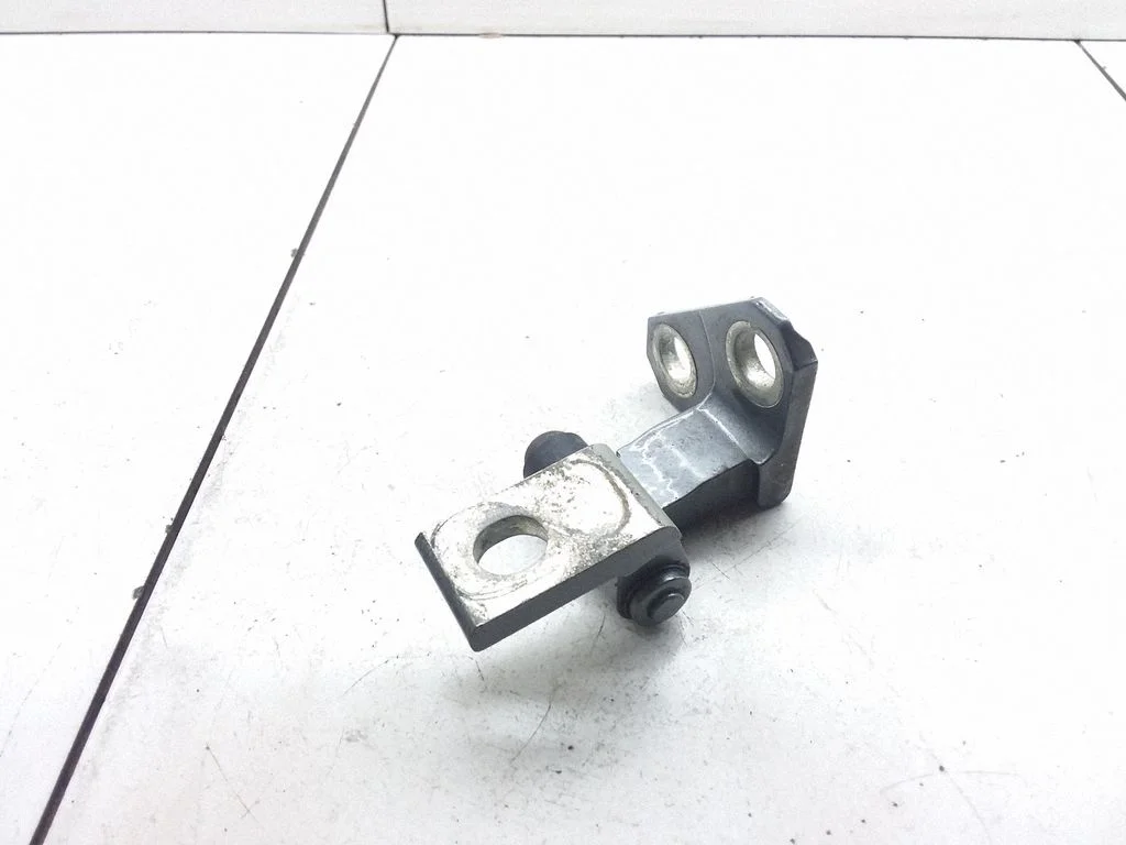 Rear door lower hinge