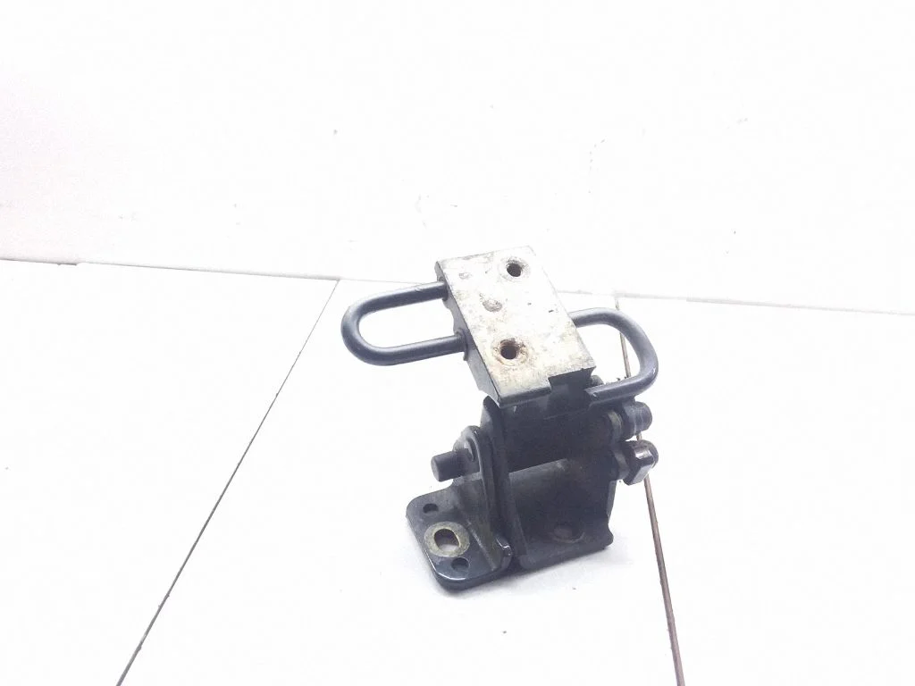 Rear door lower hinge 8E0833411