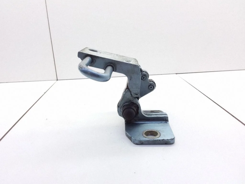 Rear door lower hinge – left