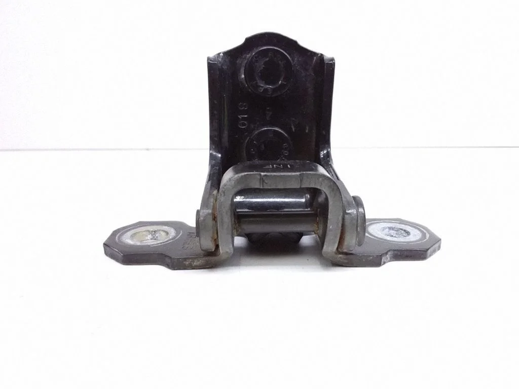 Rear door lower hinge – left