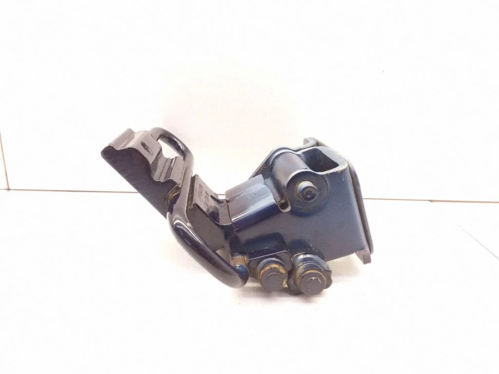 Rear door lower hinge – Audi A6 Allroad C5 (1999-2005)