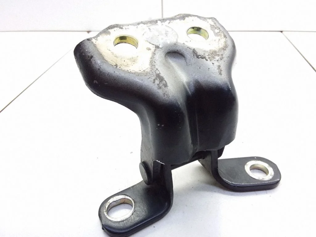 Rear door lower hinge – left