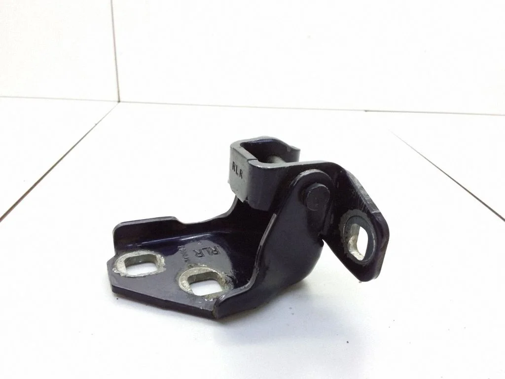 Rear door lower hinge 299NJN9M