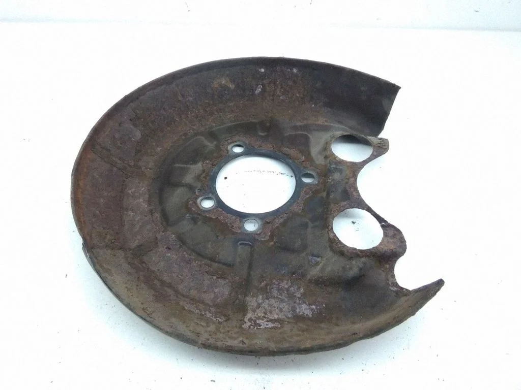 Tagumise piduriketta tolmukaitse