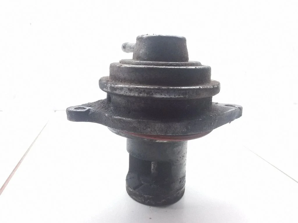 EGR-klapp A6401401160