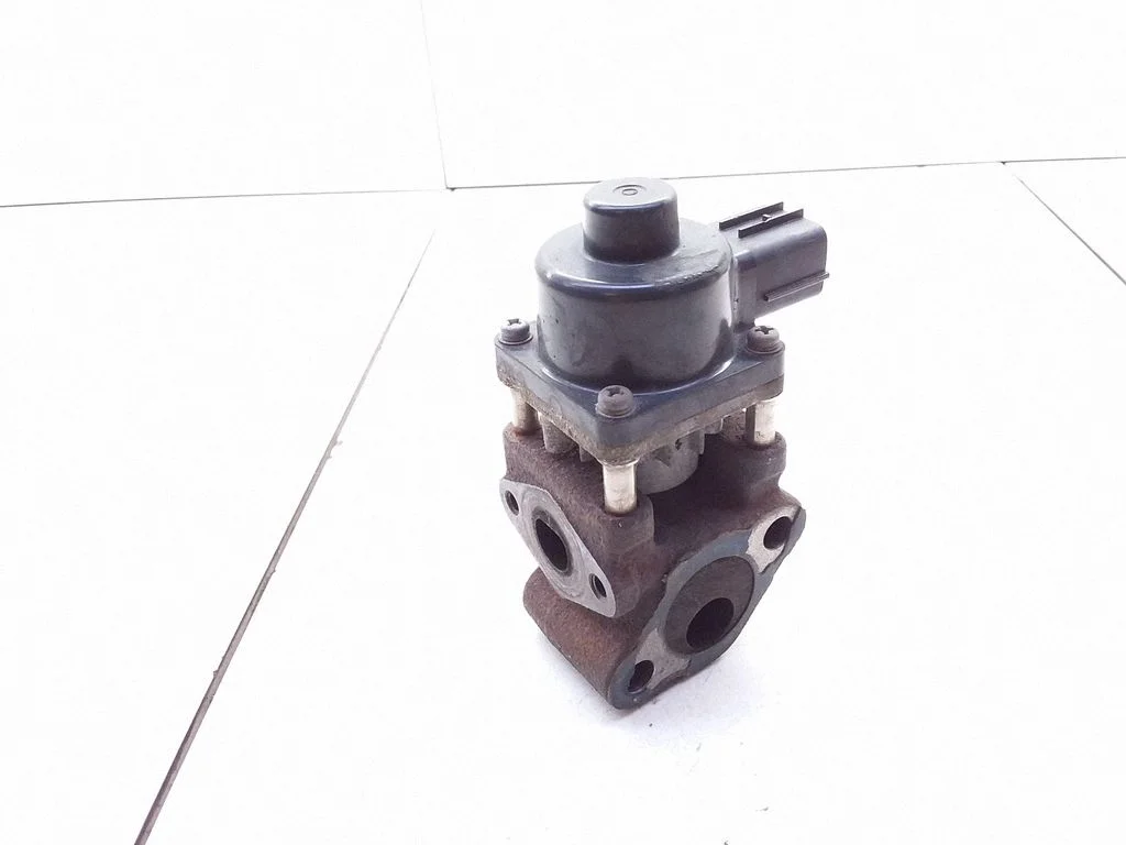 EGR vārsts 79073A