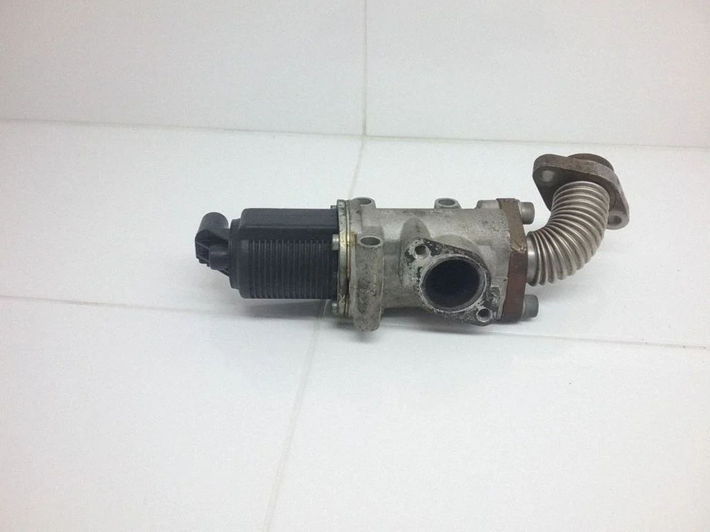 EGR vārsts 50024005