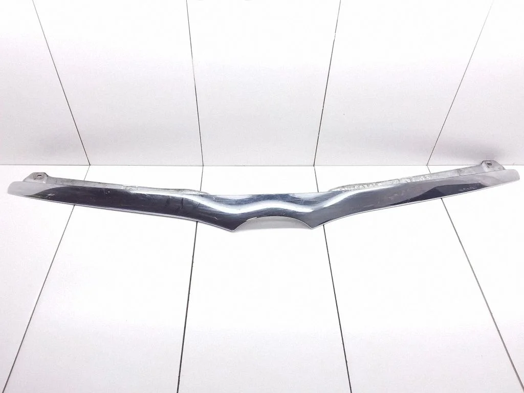 Front grill 7577013040