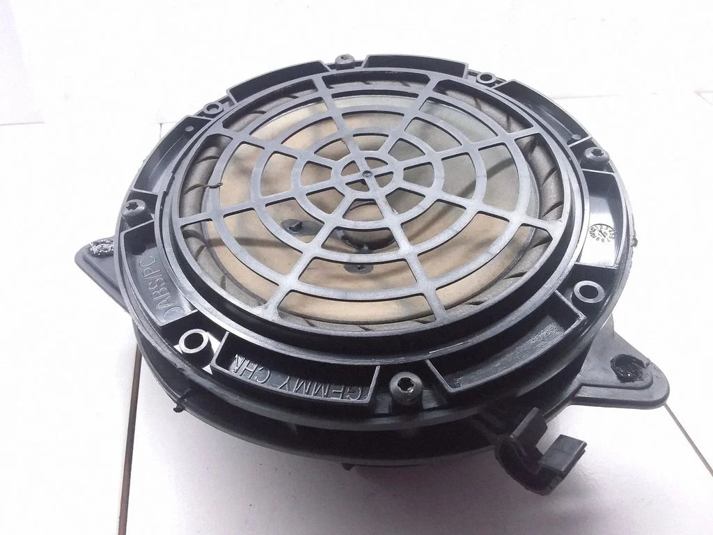 Front door speaker