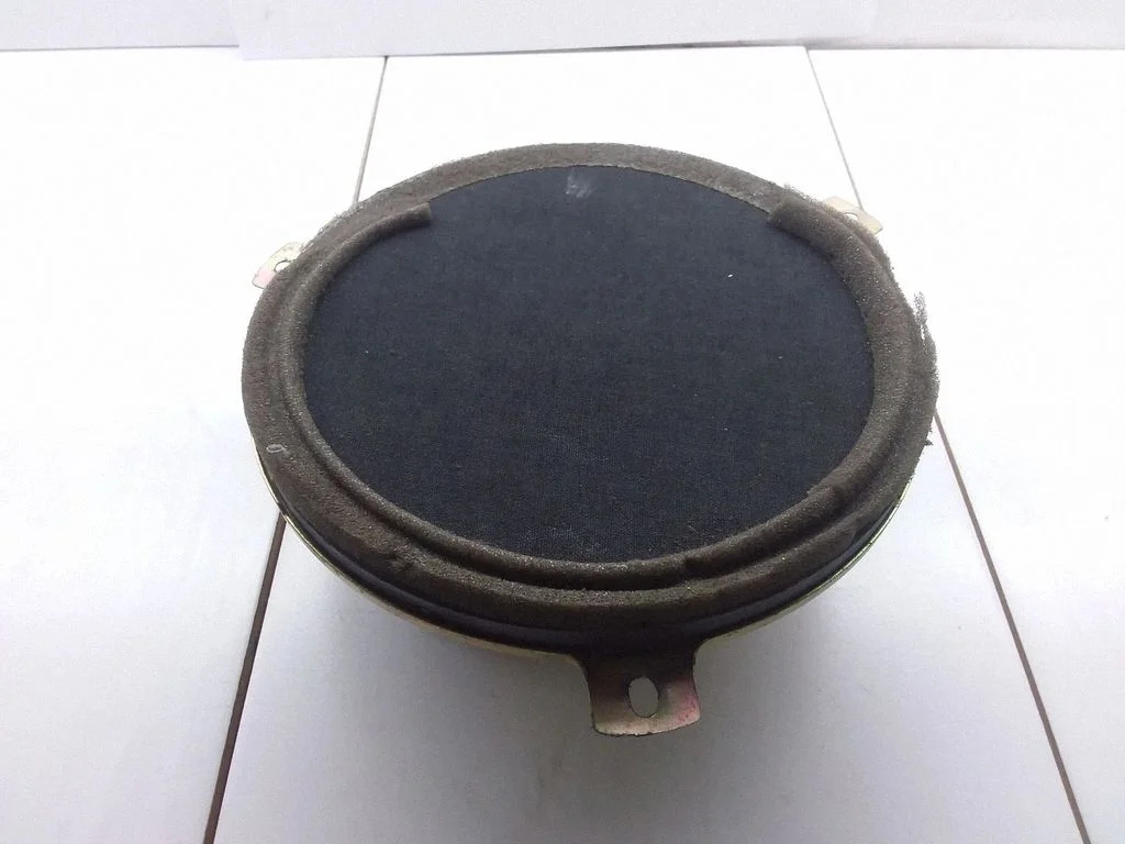 Front door speaker